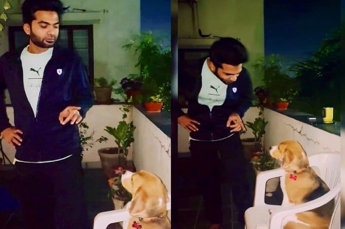 Simbu Valentine's Day - viral video