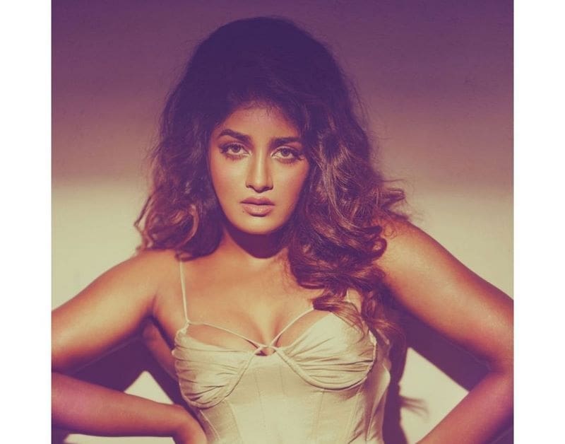 Actress Dimple Hayathi Latest Photos