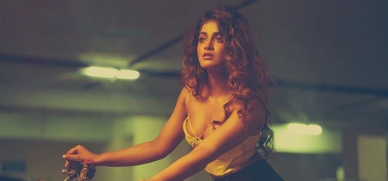 Actress Dimple Hayathi Latest Photos