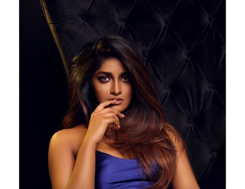 Actress Dimple Hayathi Latest Photos