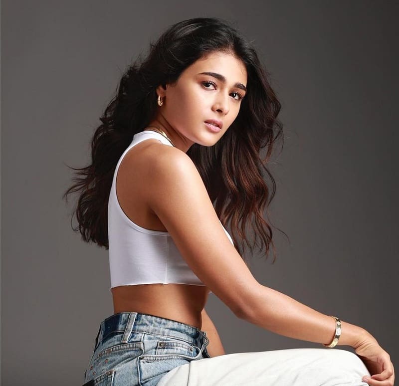 Actress Shalini Pandey Latest Photos