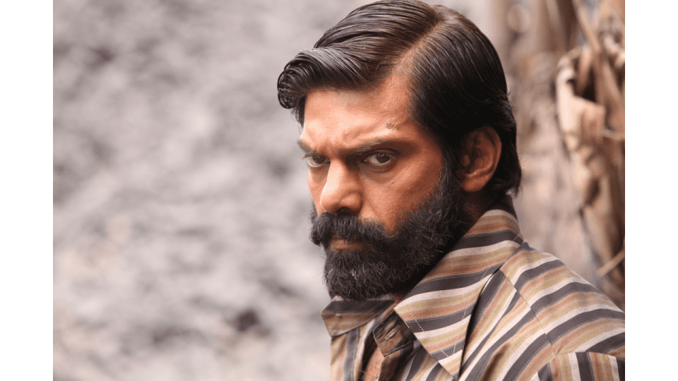 arya in latest update