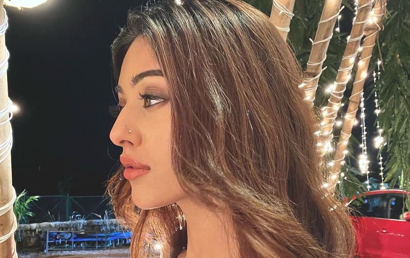 Actress Anu Emmanuel Latest Photos