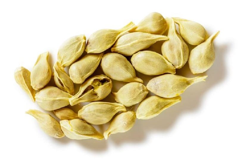Amazing benefits of throwing away lemon seeds