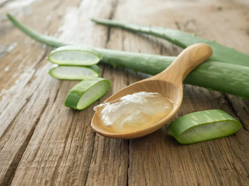 Aloe vera is a cure for dandruff