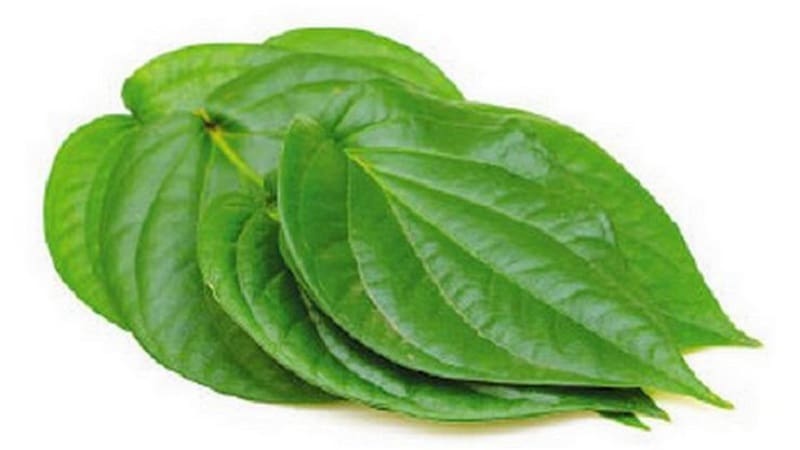 Health Benefits of Betel Nuts