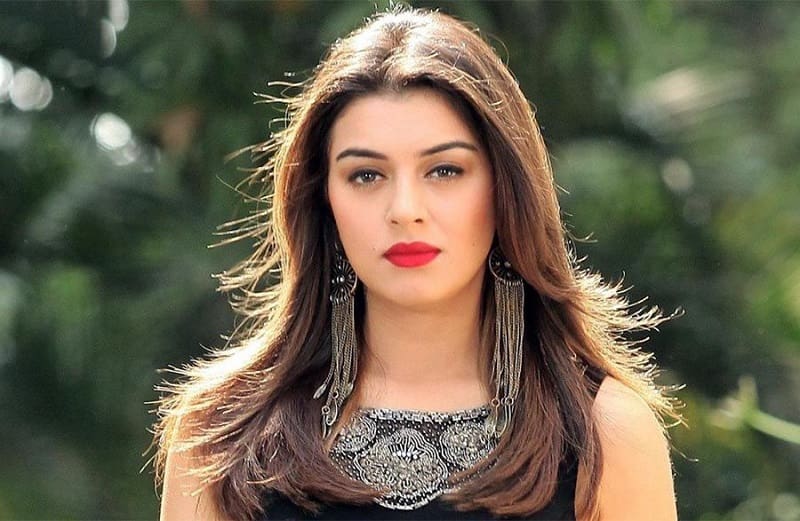 hansika-motwani-marriage-photos