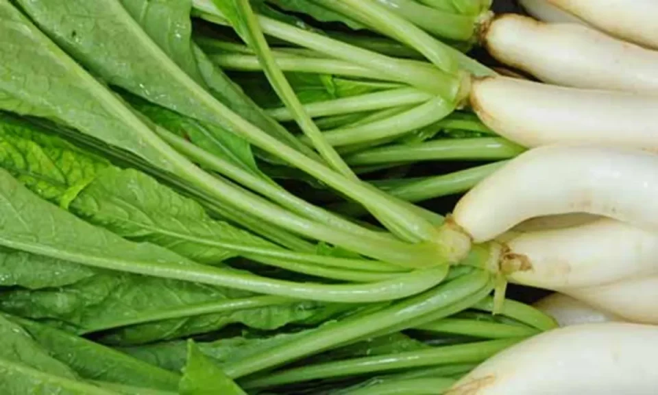 Benefits of radish leaves