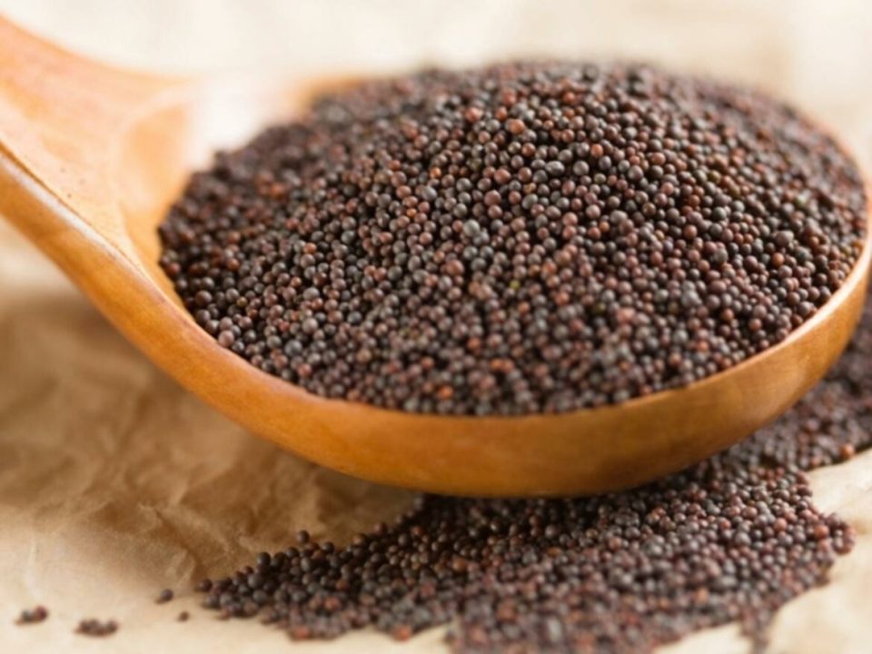 Benefits of mustard seeds