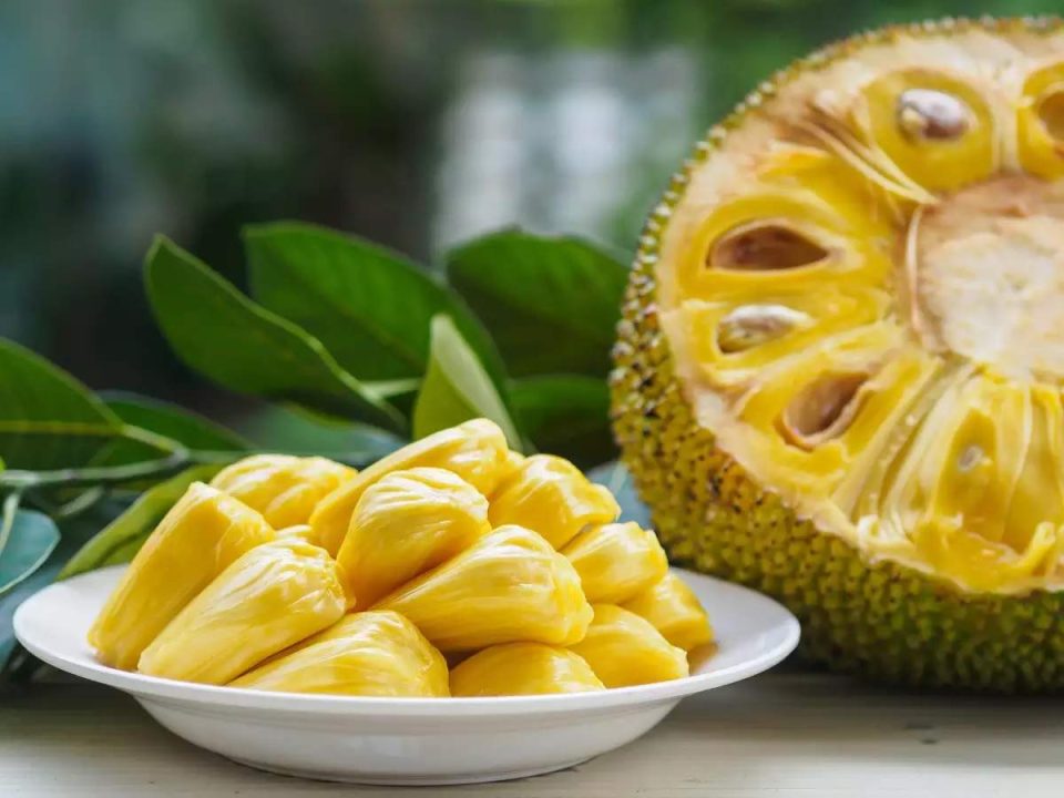 Side effects of eating too much jackfruit