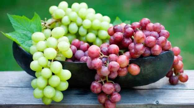 The benefits of grapes