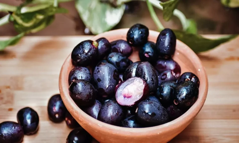 A novel fruit seed that helps diabetics