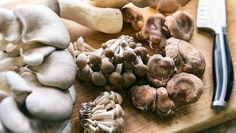 Benefits of eating mushrooms