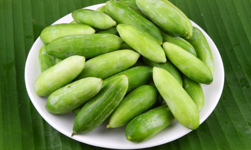 Courgette helps to lose weight