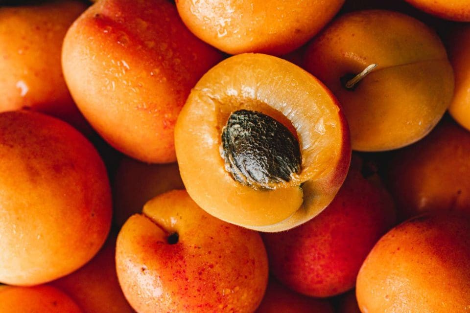 benifits of apricot fruit