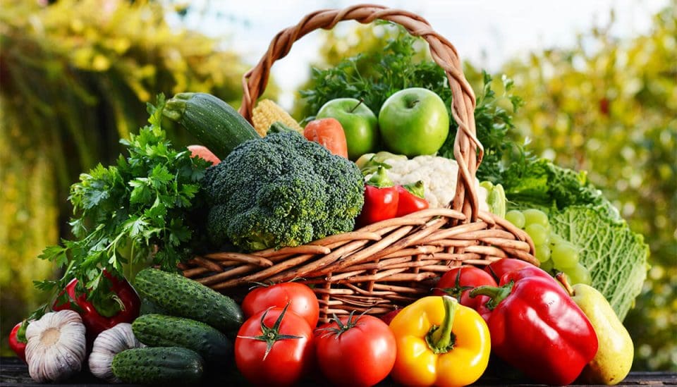 Foods to eat for lung health