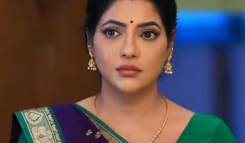 BaakiyaLakshmi Serial Episode Update 29-01-25