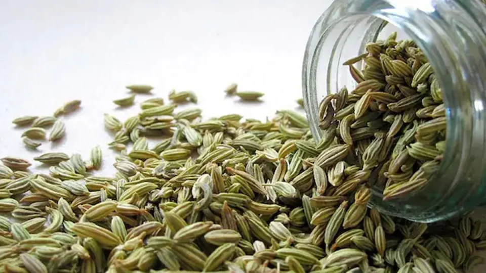 Benifits eating of fennel seeds