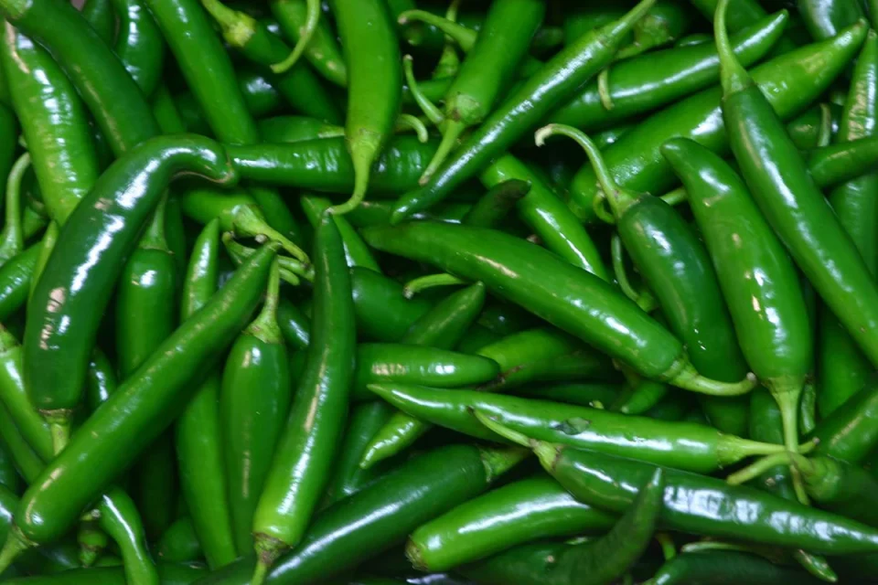 Benifits eating of green chilli