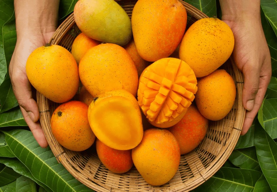 disadvantages of mango