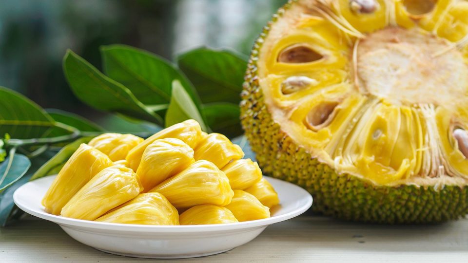 benifits eating of jackfruit