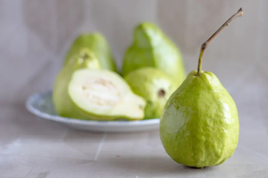 benifits eating of guava fruit