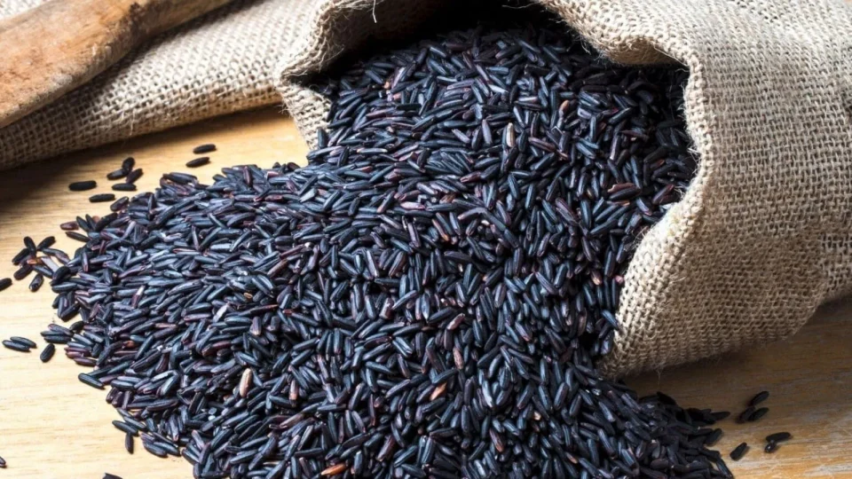 benifits eating of karuppu kavuni rice