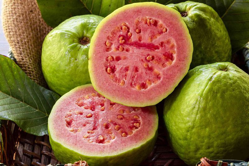 Benefits of eating guava fruit.!