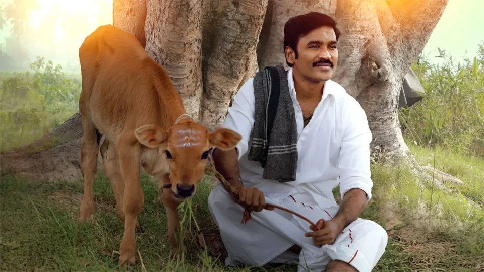 idly kadai movie 5 days collection update