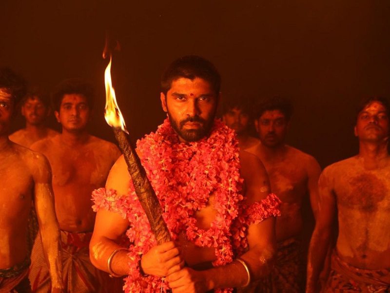 bison movie 15th day box office