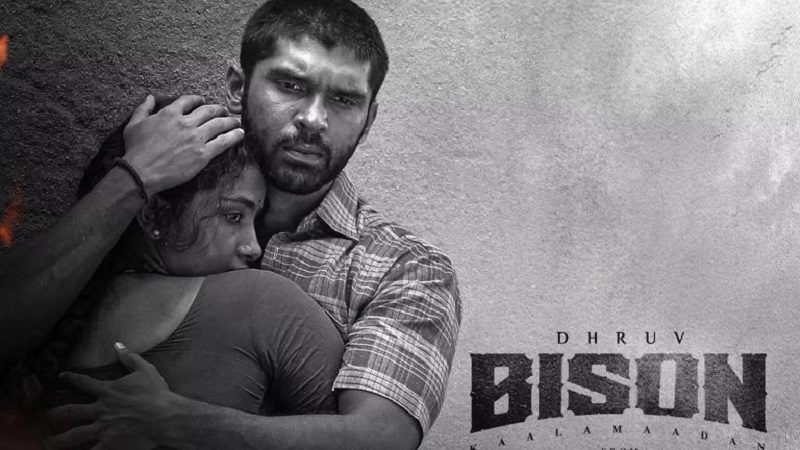 bison movie 15th day box office