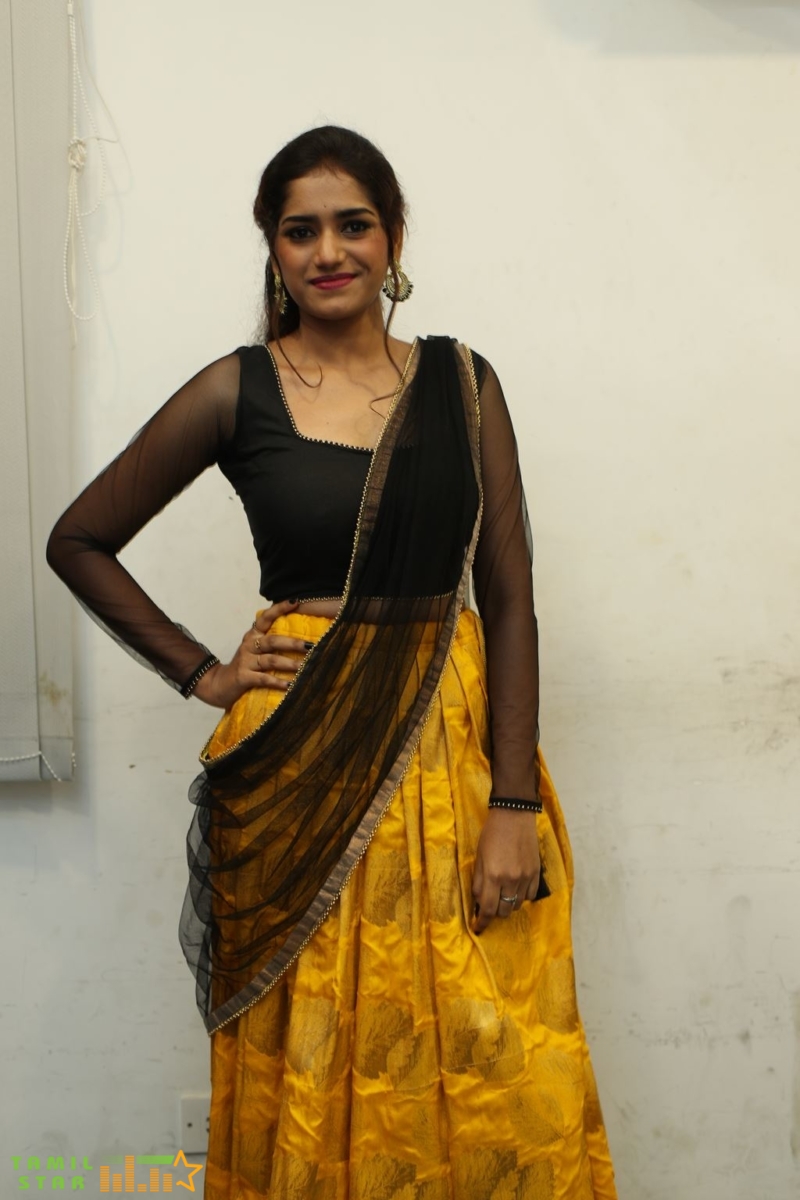 Dummy Joker Movie Audio Launch (5)