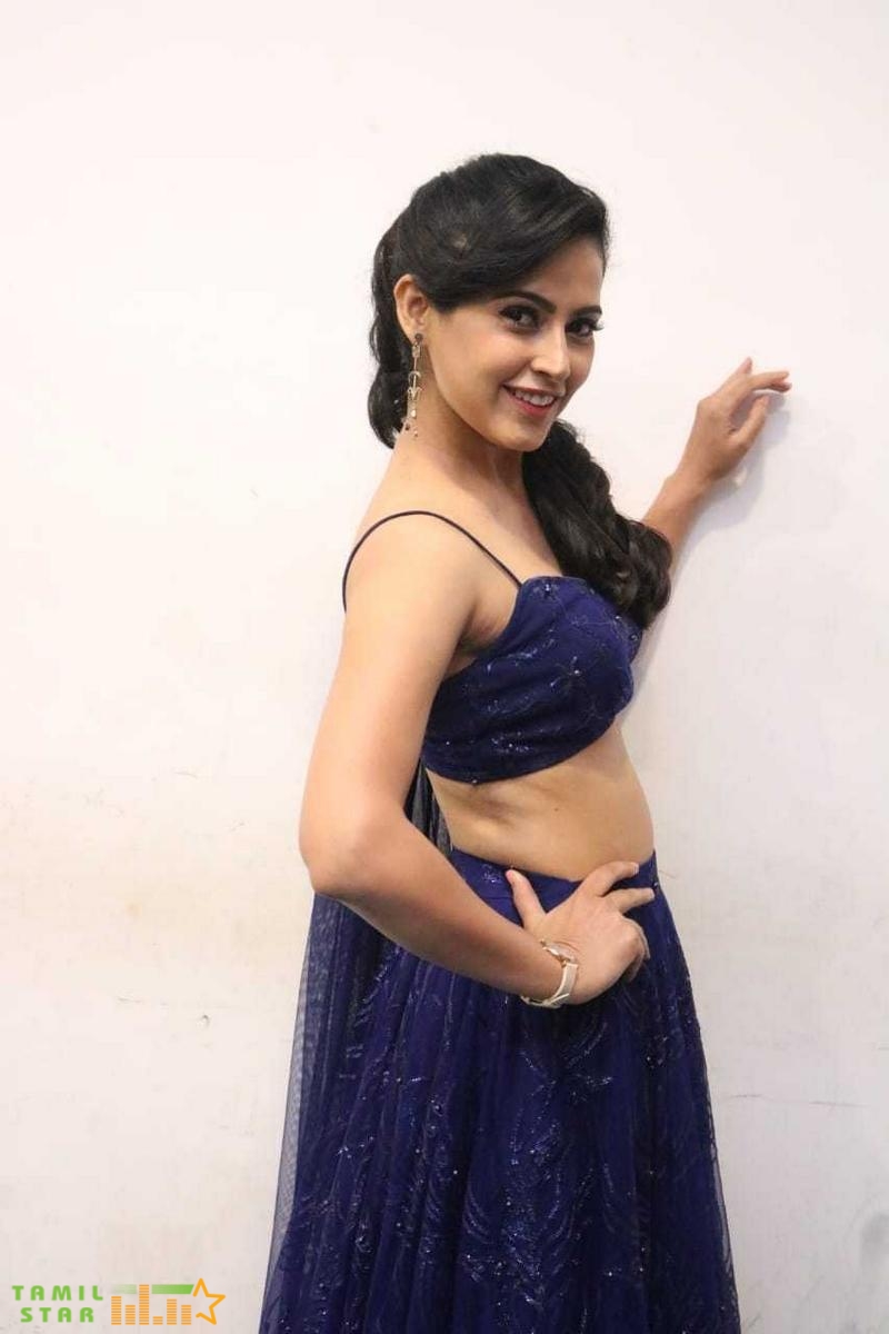 Kombu Movie Audio Launch (7)